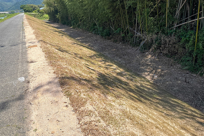 加古川水系杉原川 堤防補修工事 完成後の堤防状況 兵庫県西脇市