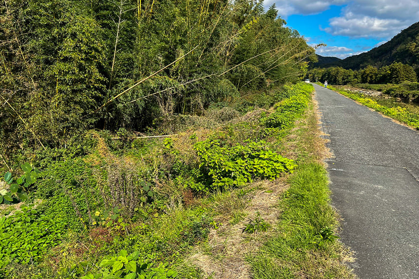 加古川水系杉原川 堤防補修工事 施工前の堤防状況 兵庫県西脇市
